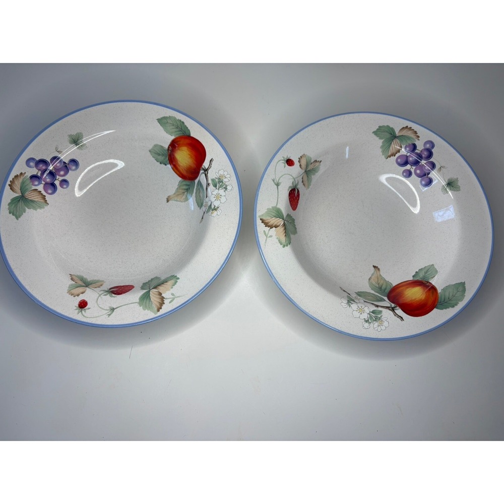 Savior Vivre Luscious JJ017 Fruit Set of 2 Soup Bowls 8.25"